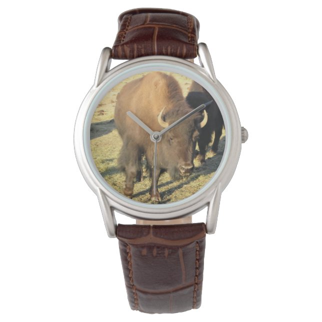Montre Bison dans le Colorado (devant)