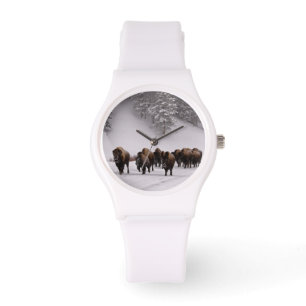 Montre Bison en hiver