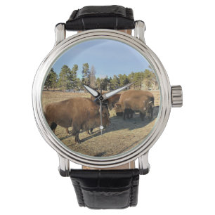 Montre Bisons dans le Colorado