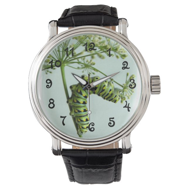 Montre Black Swallowtail Caterpillar manger persil watch (devant)