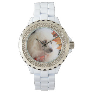 Montre blanche de fausse pierre de chien de