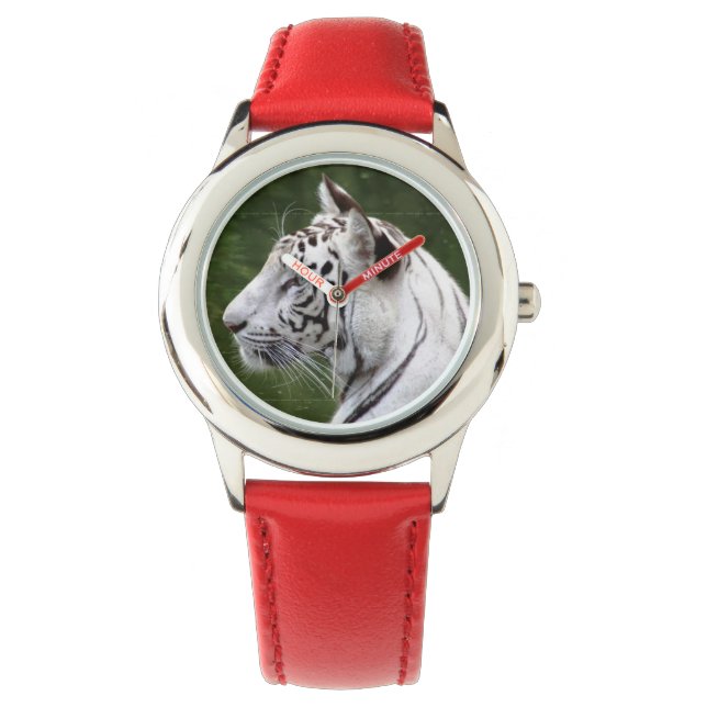 Montre Blancs rayés Blancs belle photo (devant)