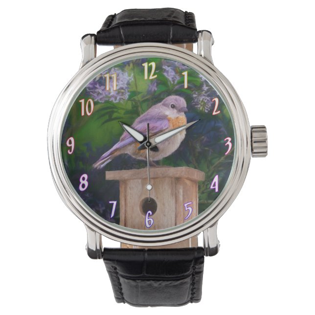Montre Bleuet de l'Est en neige - Photo originale (devant)