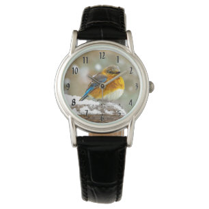 Montre Bleuet de l'Est en neige - Photo originale