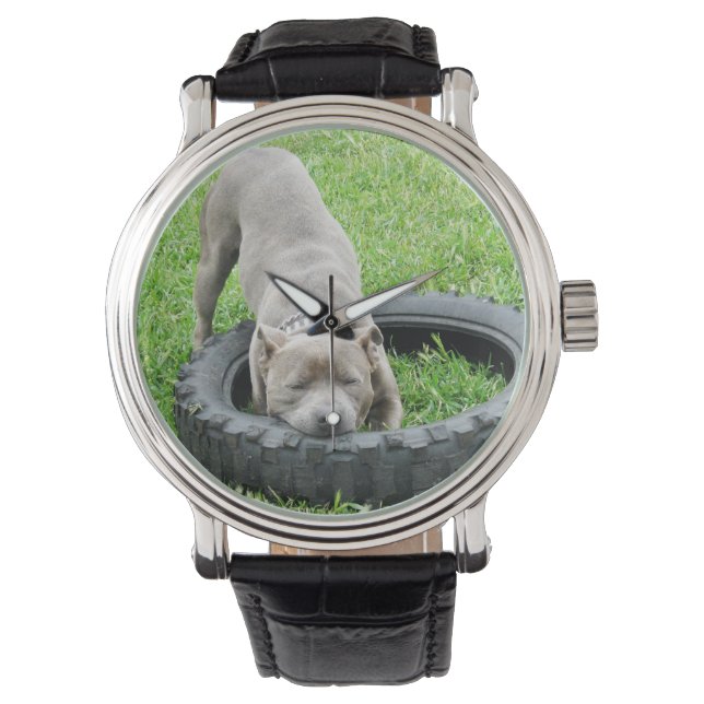 Montre Blue Staffordshire Bull Terrier Temps de jeu (devant)