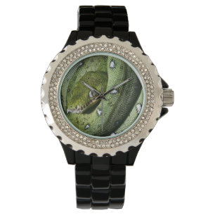 Montre Boa émeraude de serpent vert en Bolivie