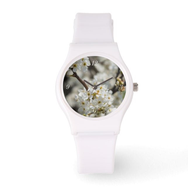 Montre Bradford Select Focus (Recto)