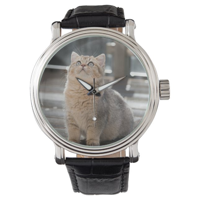 Montre Brise-air britannique, Chat, Animal de compagnie (devant)