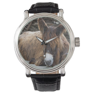 Montre Brown Poitou Donkey