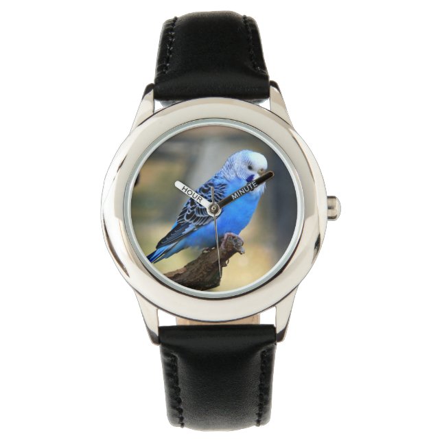 Montre Budgie Bird (devant)