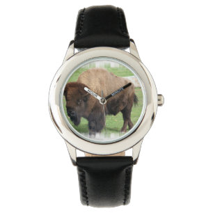 Montre Buffalo nord-américain