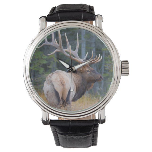 Montre Bull (devant)