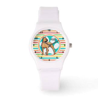 Montre Bulle Brown à rainures ; Bright Rainbow Stripes