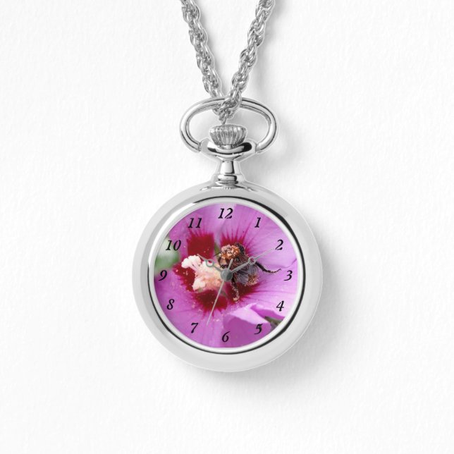 Montre Bumblebebe sur la fleur d'Hibiscus (Recto)