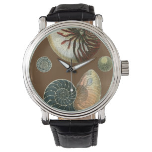 Montre Cacao Shell