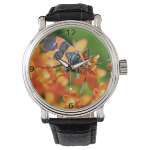 Montre Cacher en vue