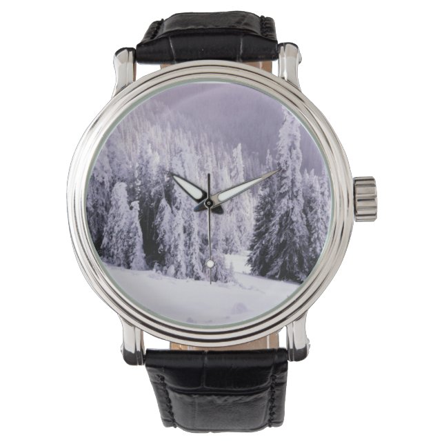 Montre Cadre hivernal (devant)