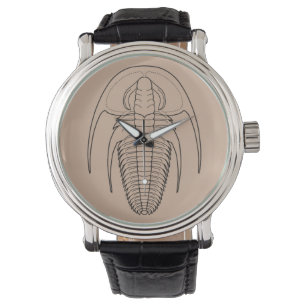 Montre Cambrian trilobite Fallotaspis longa