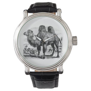 Montre Camel 1800s vintage - Camel égyptien Modèle