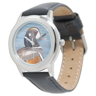Montre Canard arlequin magnifique sur le rocher de guet