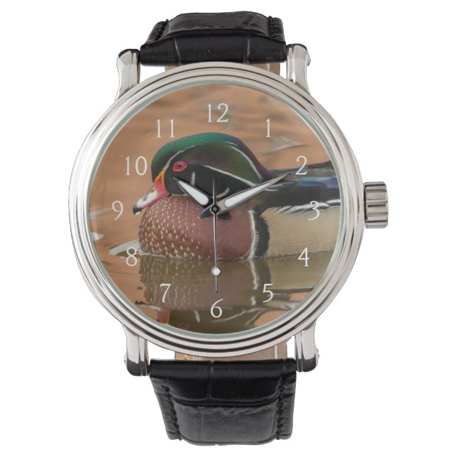 Montre Canard branchu nageant dans l'eau (devant)
