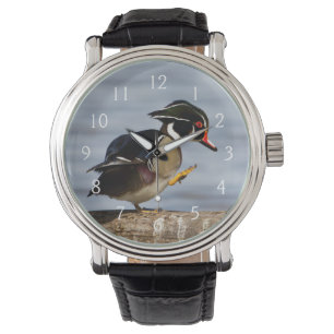 Montre Canard branchu sur une bûche dans une zone humide