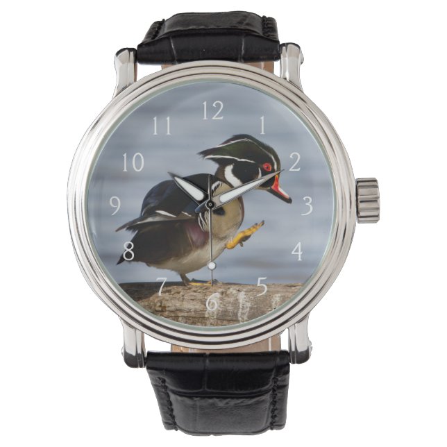 Montre Canard branchu sur une bûche dans une zone humide (devant)