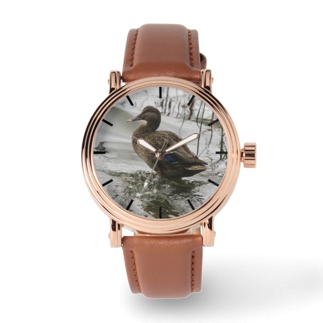 Montre Canard gris sur le lac sombre (Recto)