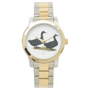 Montre Canards : Cayugas noirs