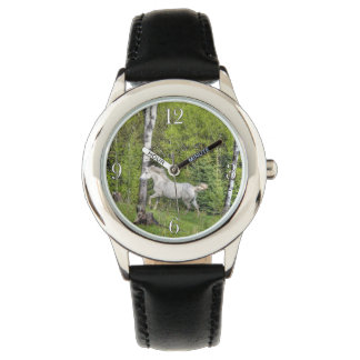 Montre Canotage du cheval blanc Equine Photo 2