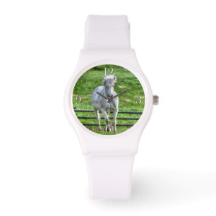 Montre Canotage photo équine du cheval blanc