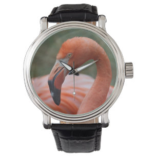 Montre Caoutchouc de phoenicopterus