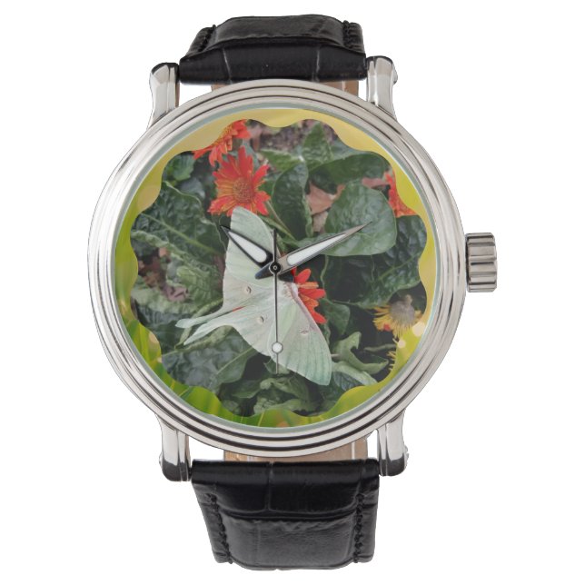 Montre Captivant Luna Moth (devant)