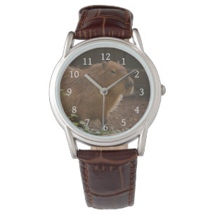 Montre Capybara