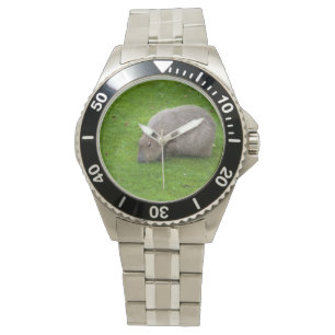Montre Capybara Animal Incroyable