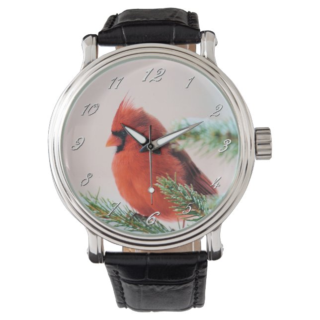 Montre Cardinal dans le sapin à neige (devant)