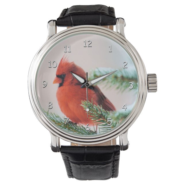 Montre Cardinal dans le sapin à neige (devant)