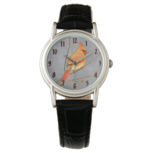 Montre Cardinal sur la peinture de branche - Art original
