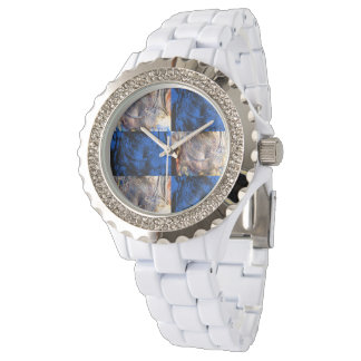 Montre carnivest