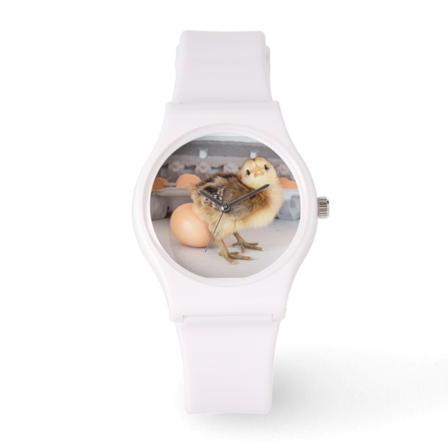 Montre Carton de poussins et d'oeufs précieux pour bébé (Recto)