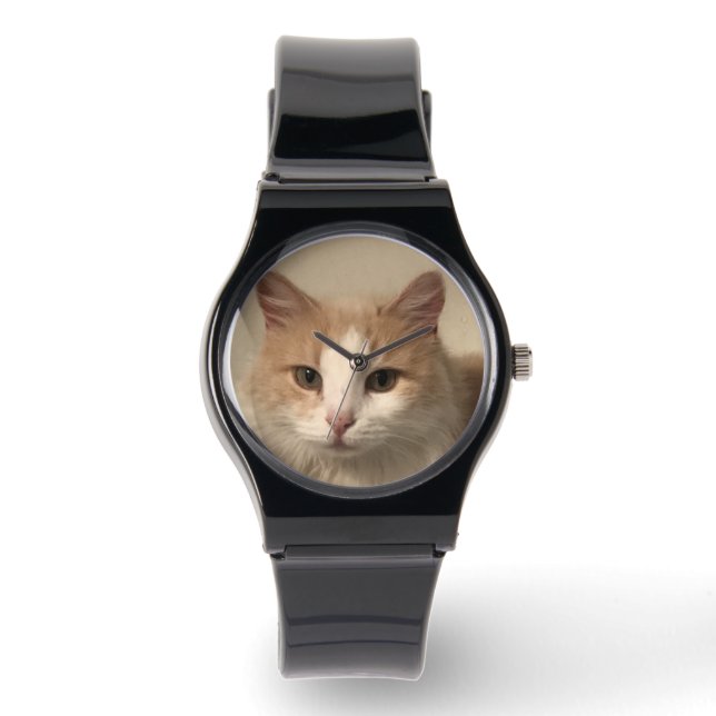 Montre Cat (Recto)