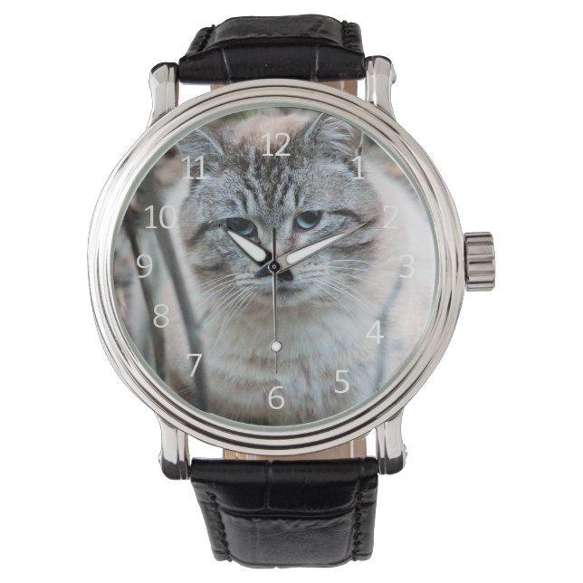 Montre Cat (devant)
