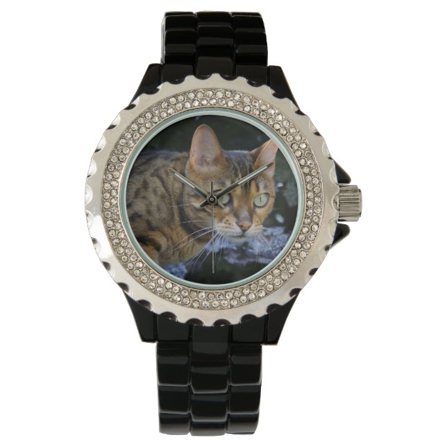 Montre Cat du Bengale (devant)