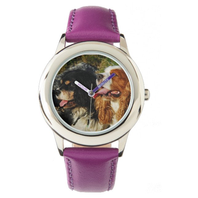 Montre Cavalier King Charles Spaniels (devant)