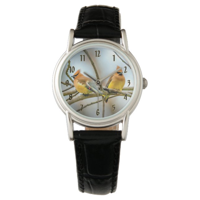 Montre Cèdre - Photographie originale (devant)