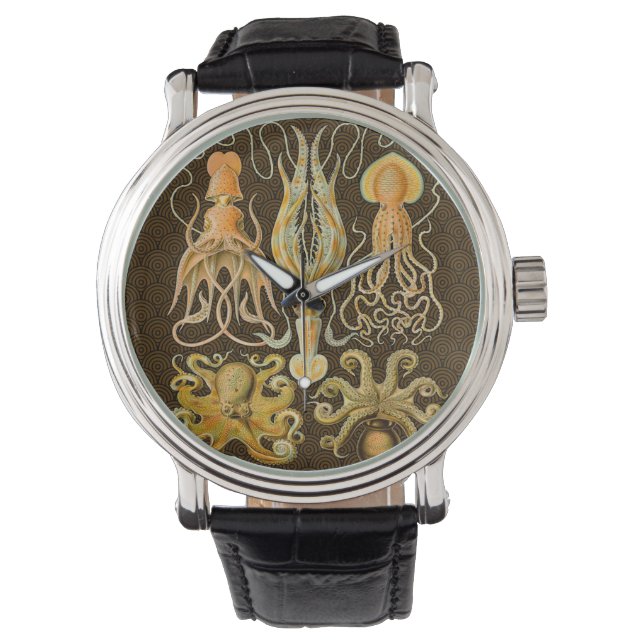 Montre Cephalopod poulpe calmar Nature marine (devant)