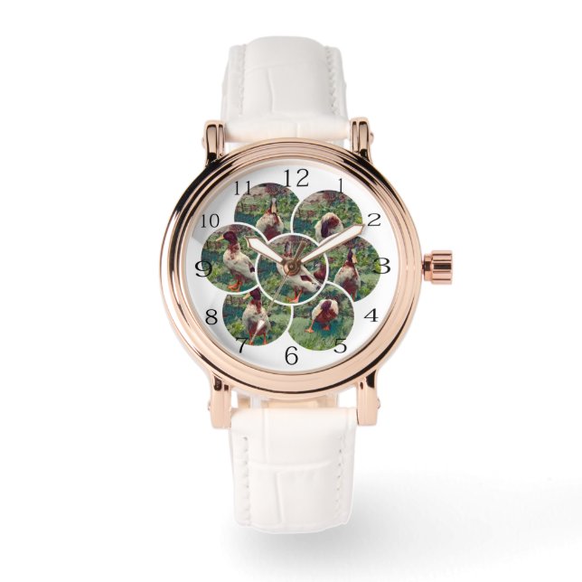 Montre Cercles de quack : Un chef-d'oeuvre de collage de  (Recto)