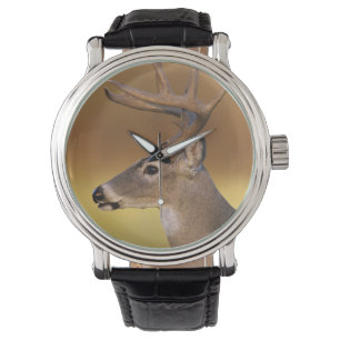 Montre Cerf de Virginie, Odocoileus virginianus,