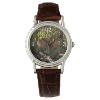 Montre Cerf et Biche au Parc National de Shenandoah