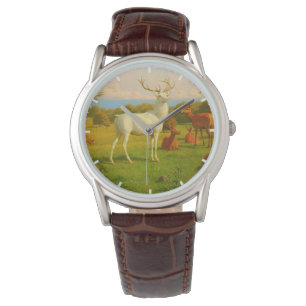 Montre Cerf White Stag Dans Un Champ Ouvert Nature Faune